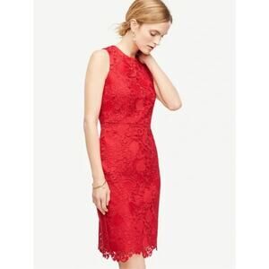 NWT Women's Ann Taylor Lace Sheath Dress in Bright Geranium sz 14 Romantic Glam